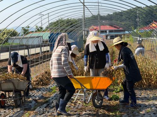  충남도립대, 농번기 일손 부족 농가 지원 나서